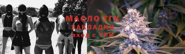 крисы Алзамай