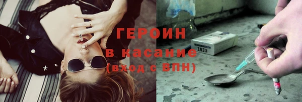 сатива Няндома