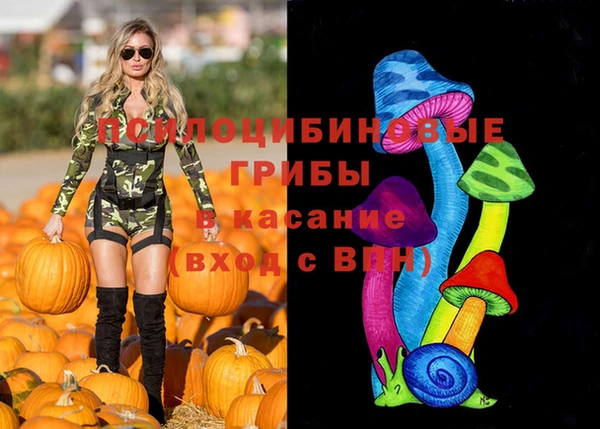 дживик Алексин