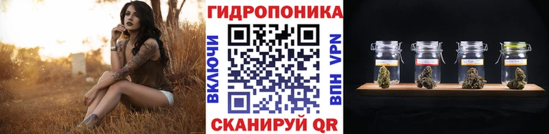 кракен   Нефтекумск  МАРИХУАНА Amnesia 